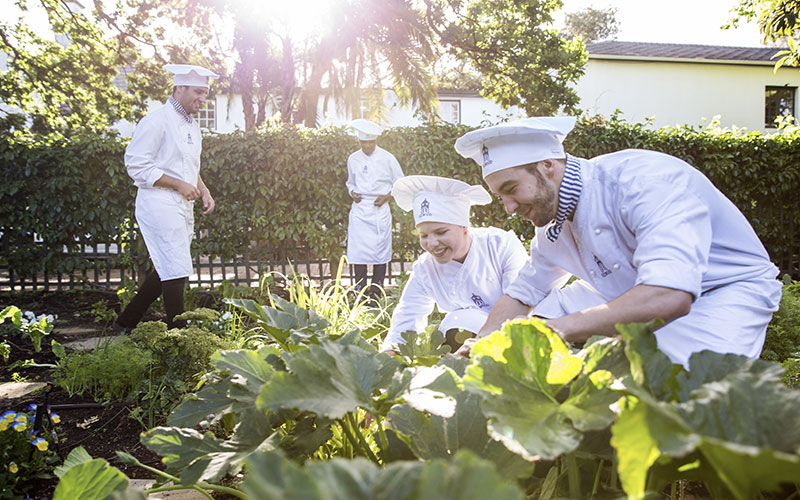 Silwood-Kitchen-Garden